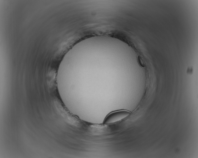 X0000116480480200912231134