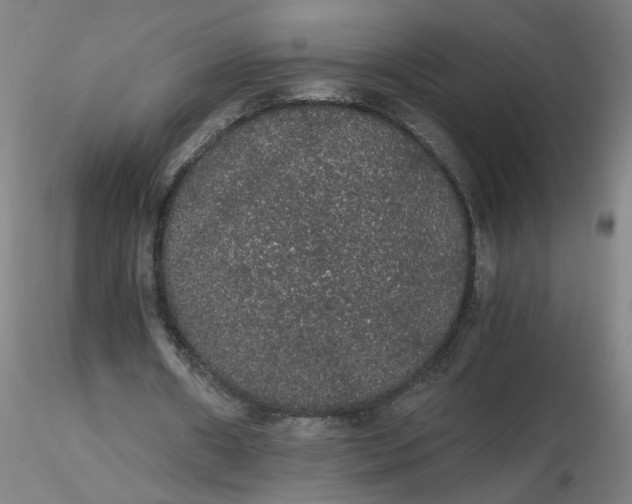 X0000116480482200912231134