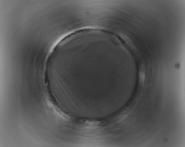 X0000116480484200912231134