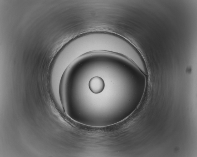 X0000116480485200912231134