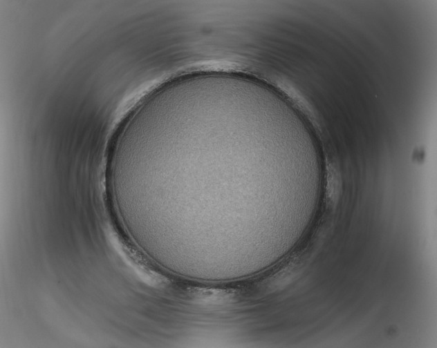 X0000116480486200912231134