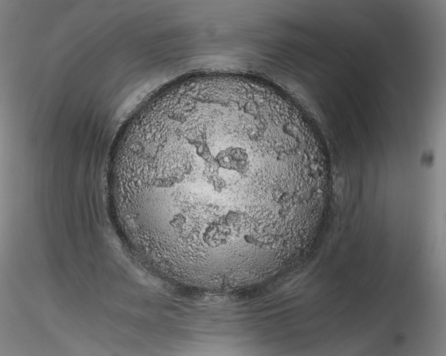 X0000116480487200912231133