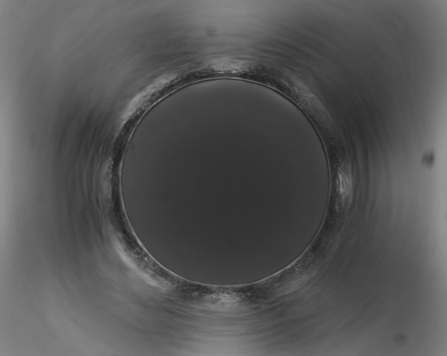 X0000116480492200912231133