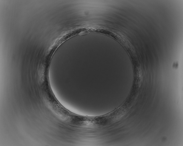 X0000116480496200912231133