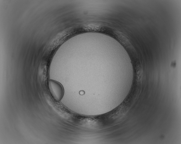 X0000116480498200912231133