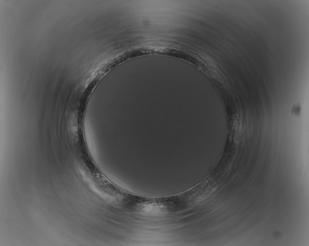 X0000116480500200912231133