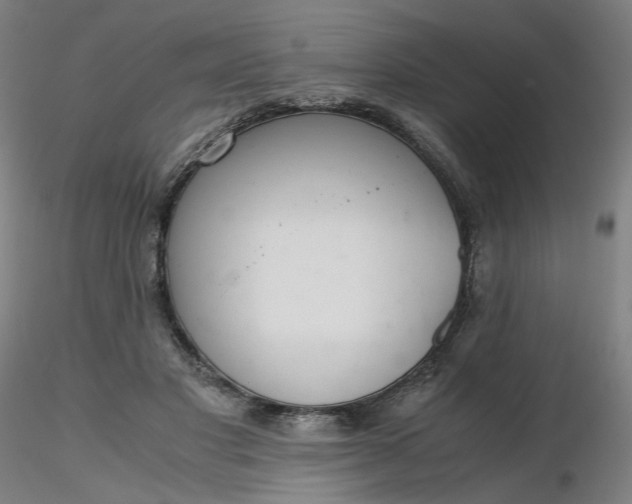 X0000116480501200912231133