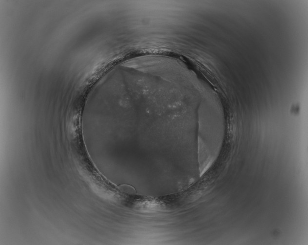 X0000116480503200912231133