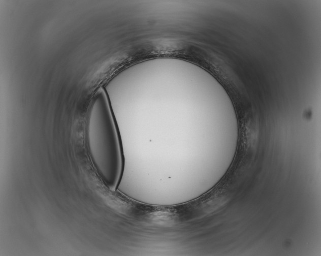 X0000116480505200912231133