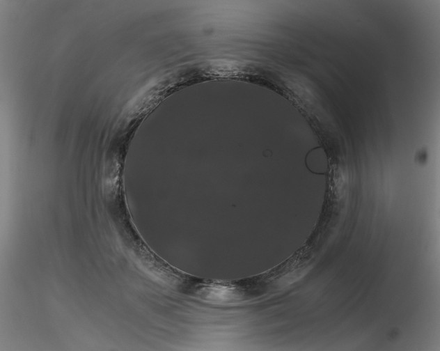 X0000116480507200912231133