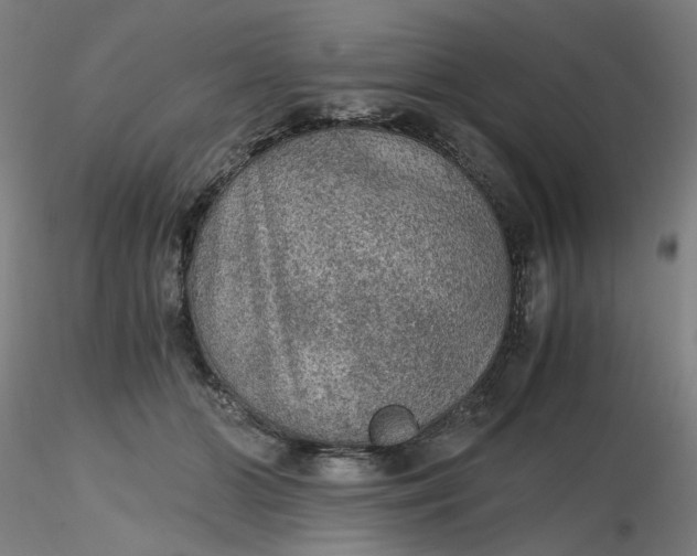 X0000116480510200912231133