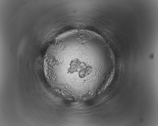 X0000116480511200912231133