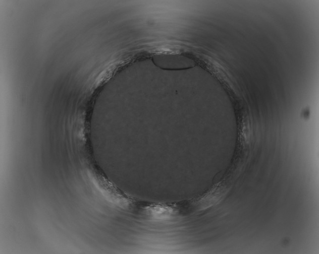 X0000116480512200912231133