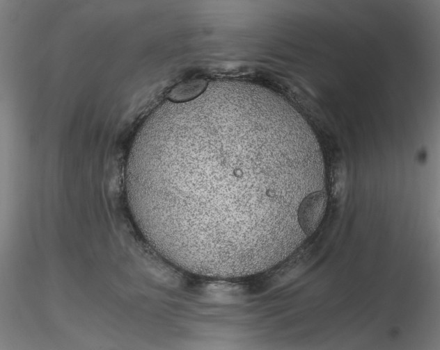 X0000116480515200912231133