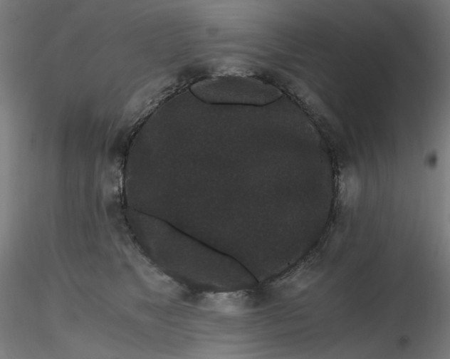 X0000116480517200912231133