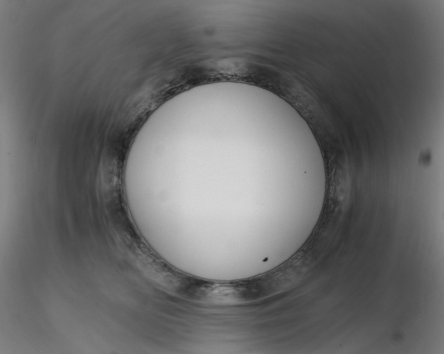 X0000116480518200912231133