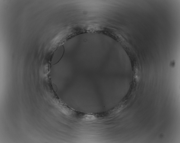 X0000116480519200912231133