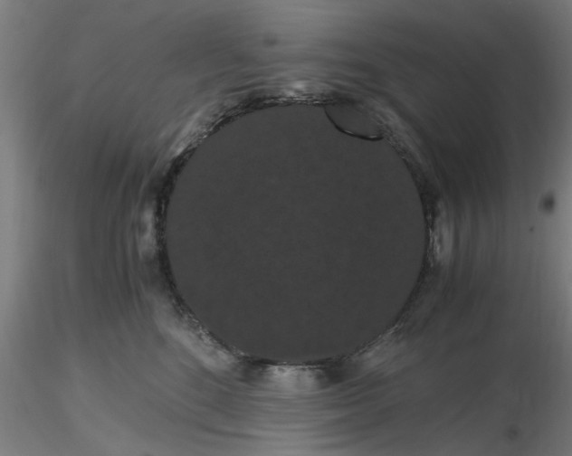 X0000116480520200912231133