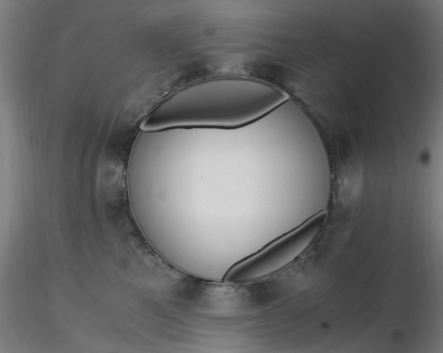 X0000116480521200912231133