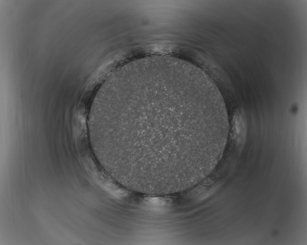 X0000116480522200912231133