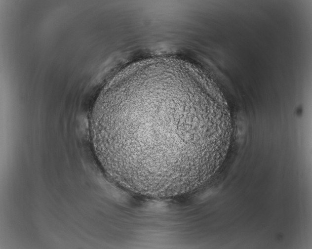 X0000116480523200912231133