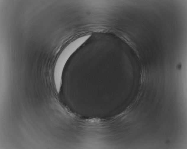 X0000116480524200912231133