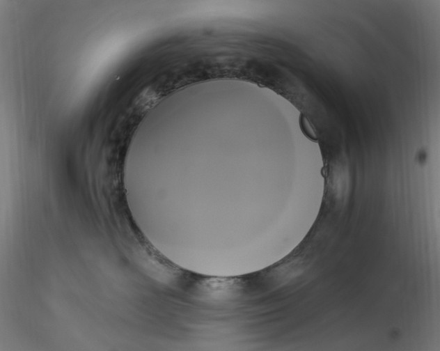 X0000116480526200912231133