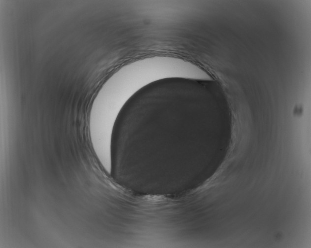 X0000116480528200912231133