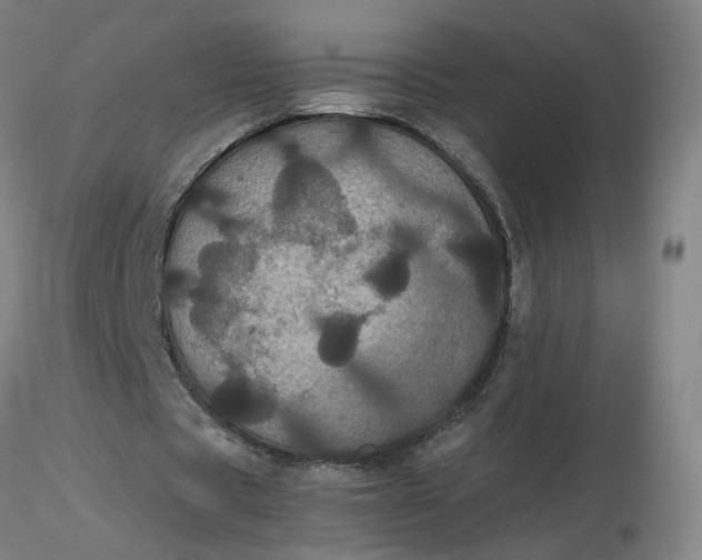 X0000116480529200912231132