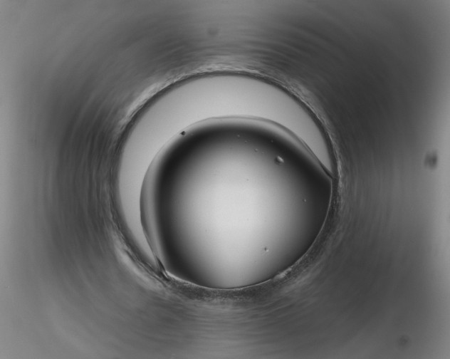 X0000116480530200912231132