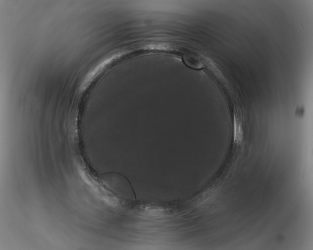 X0000116480531200912231132