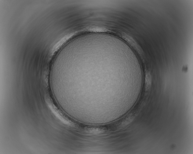 X0000116480533200912231132