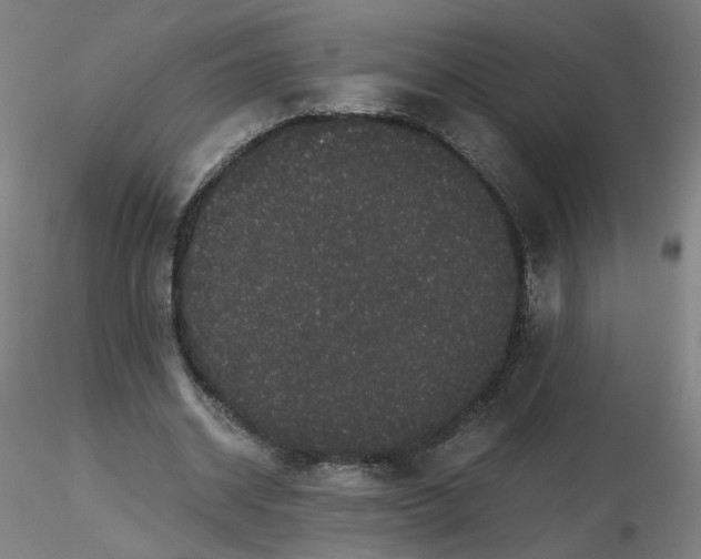 X0000116480534200912231132