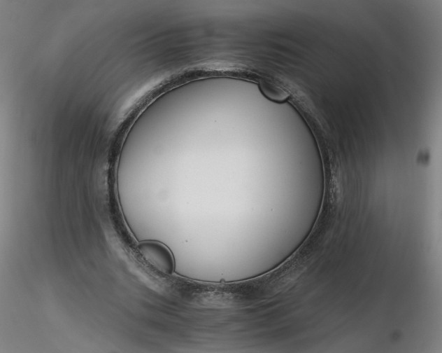 X0000116480535200912231132