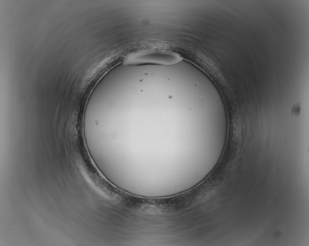 X0000116480538200912231132