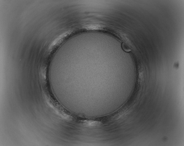 X0000116480539200912231132