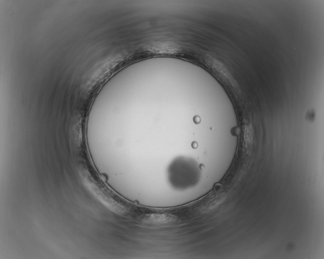 X0000116480541200912231132