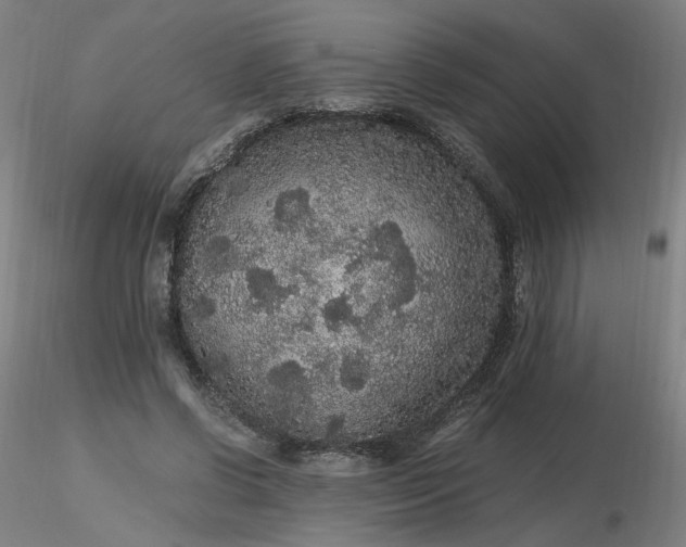 X0000116480542200912231132