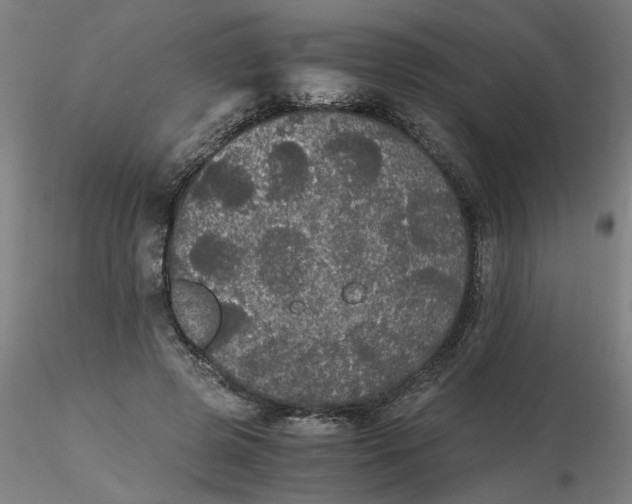 X0000116480545200912231132