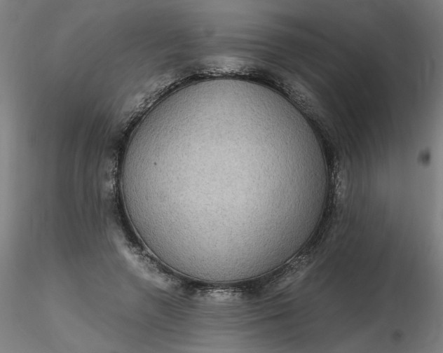 X0000116480546200912231133