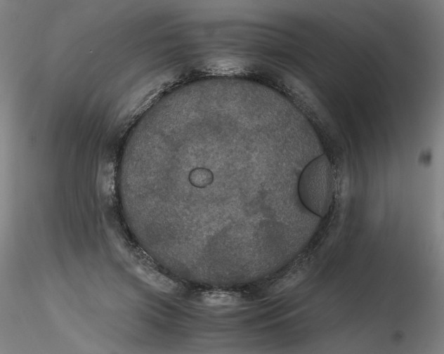 X0000116480549200912231133