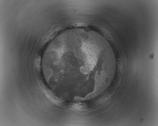 X0000116480550200912231133