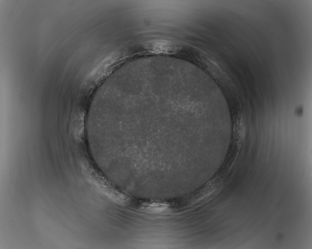 X0000116480554200912231133