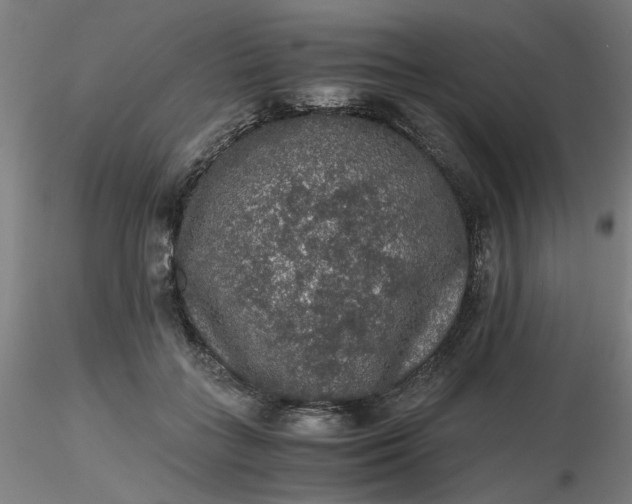 X0000116480555200912231133