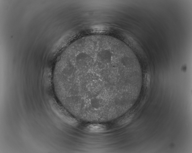 X0000116480557200912231133