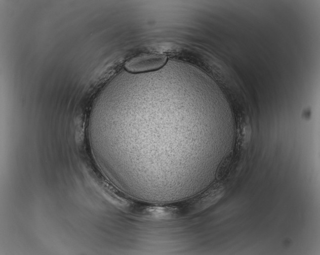 X0000116480558200912231133