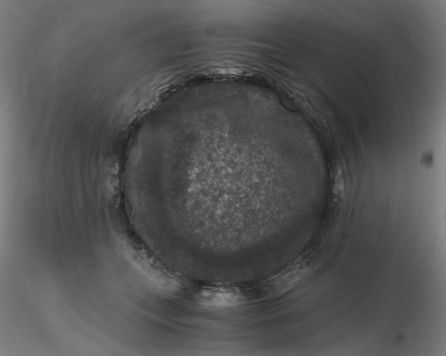 X0000116480559200912231133