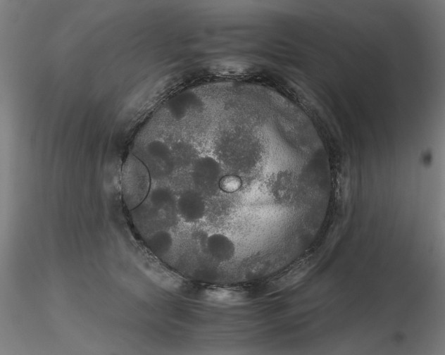 X0000116480561200912231133