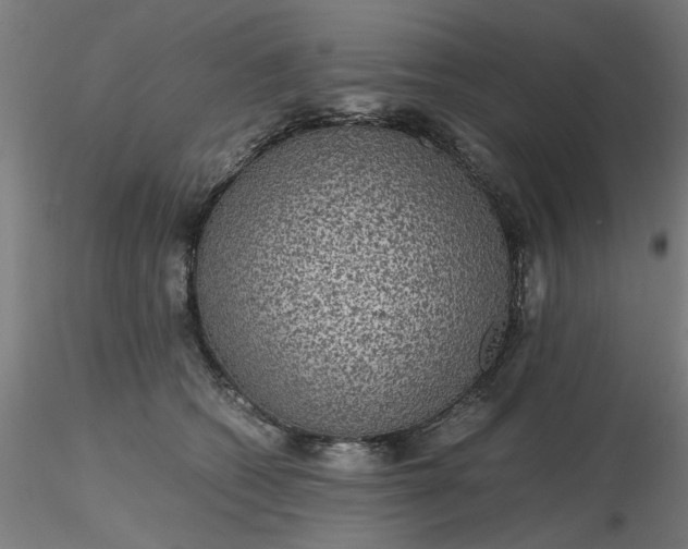 X0000116480562200912231133