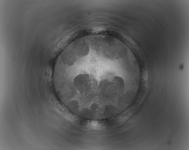 X0000116480565200912231133